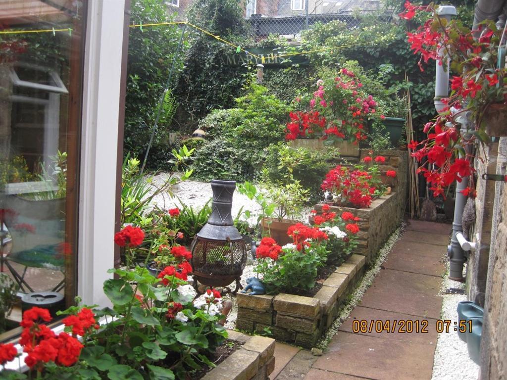 Amaryllis Guesthouse — Photos 2